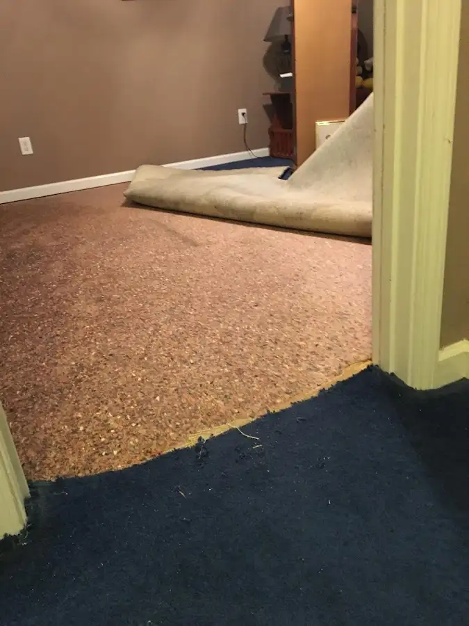 Carpet pad removal revealing water damage during Water Mitigation Services in Bridgeton