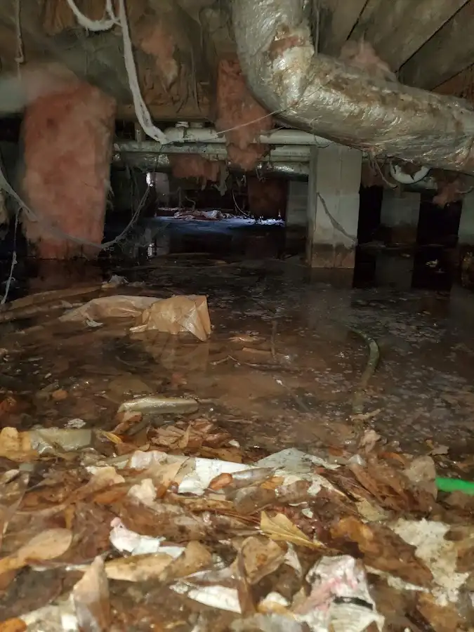 Crawl space flood assessment for Leak Detection & Repair in Bridgeton